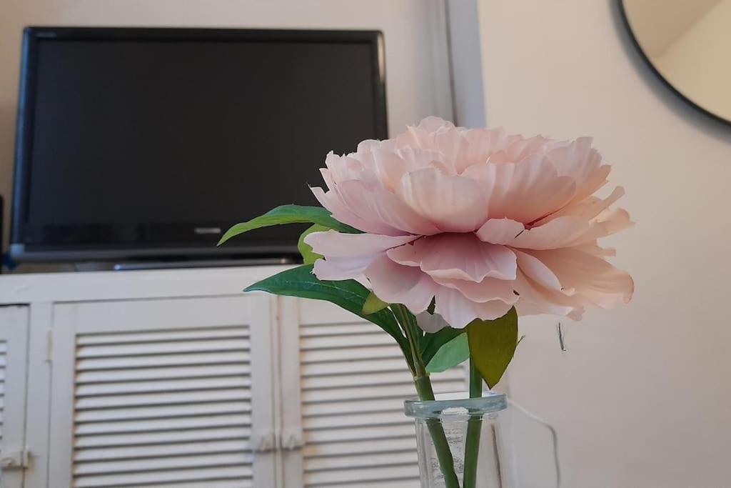 Spacious 4 Bedroom, Free Netflix, Central Location Cardiff Exteriör bild